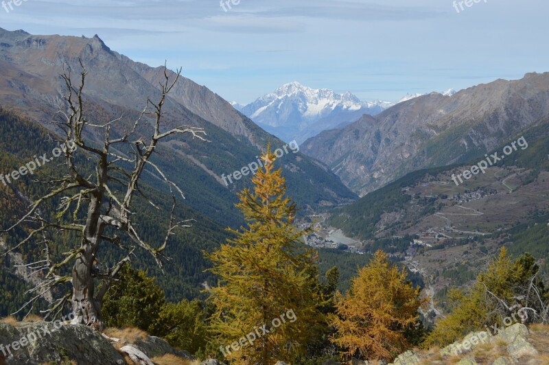 Gran Paradiso Italy Mont Blanc Nature Parks Autumn