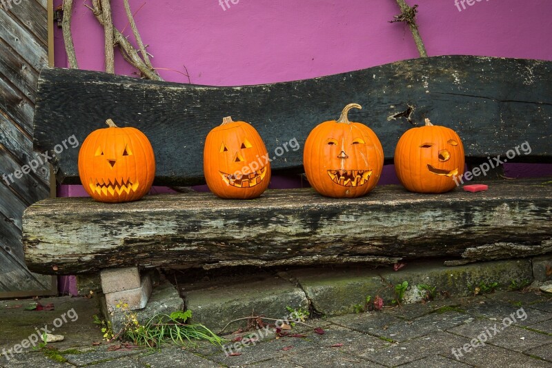 Pumpkin Halloween Autumn Gourd Jack O'lantern