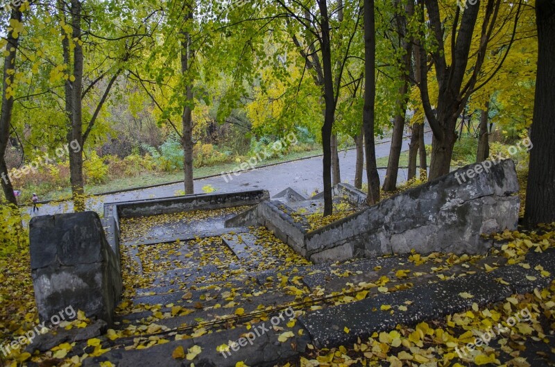 Ladder Old The Ruins Of The Wet Autumn