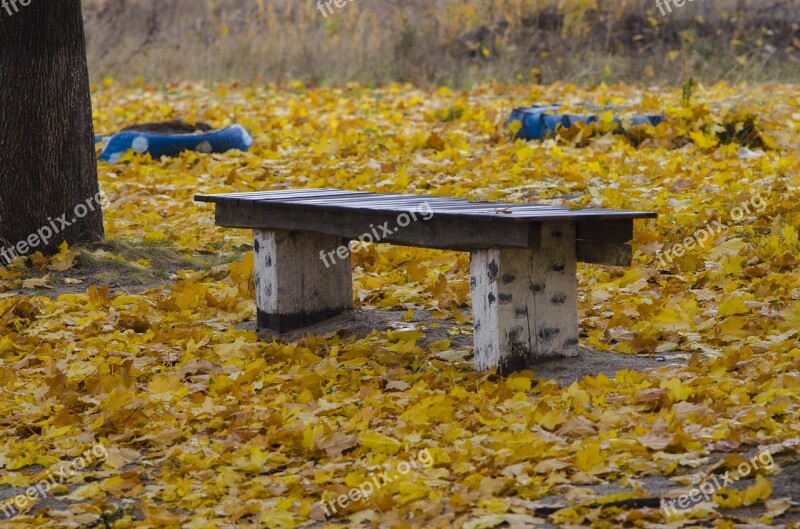 Bench Autumn Foliage Nature Fallen Foliage