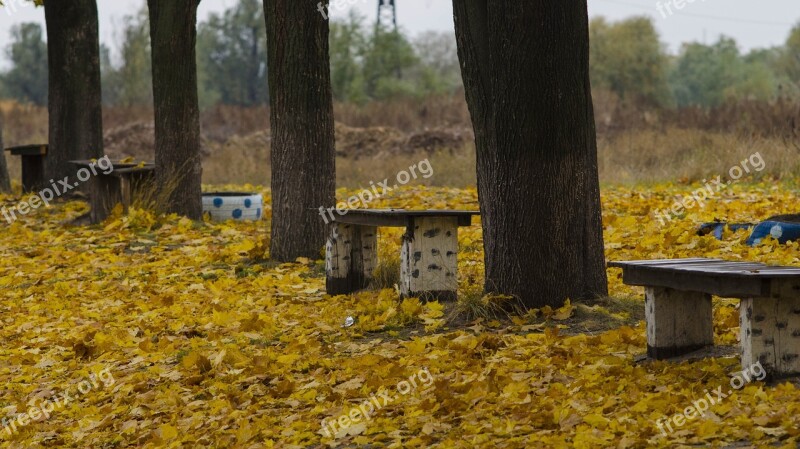 Bench Benches Autumn Foliage Nature