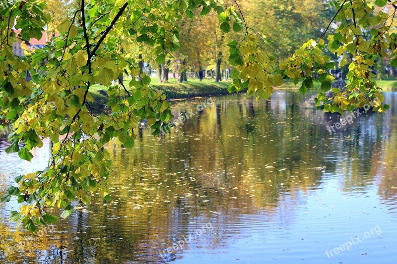 Autumn Walk Park Nature Tree Landscape