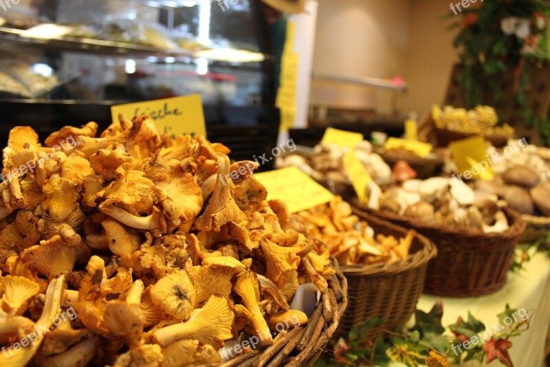 Mushrooms Chanterelles Food Edible Yellow