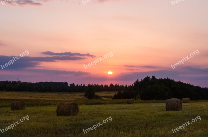 August Stack Summer Evening Straw