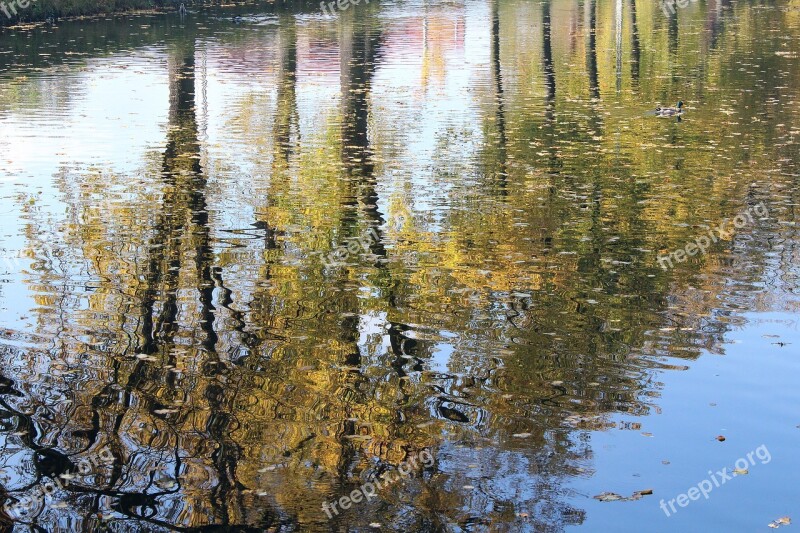 Autumn Tree Reflection Water Park Pond