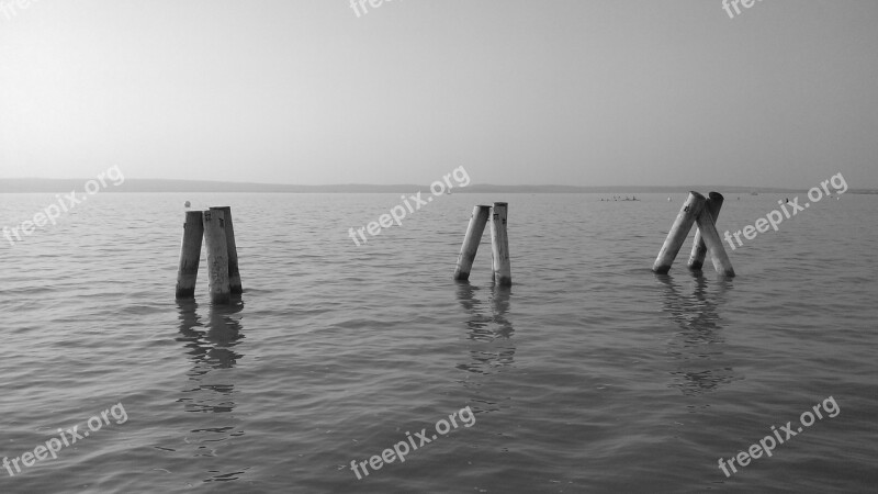 The Stakes In The Water The Stakes In The Lake Water-level Neusiedler See Burgenland