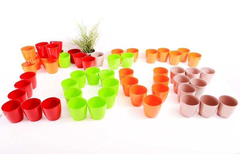 Plants Flowerpots Color Colorful Plastic