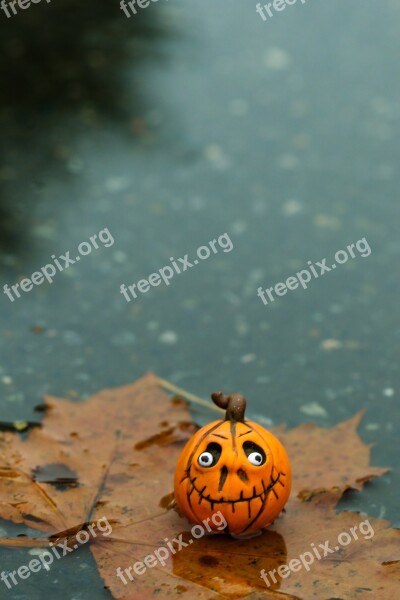 Halloween Figure Pumkin Autumn Fall