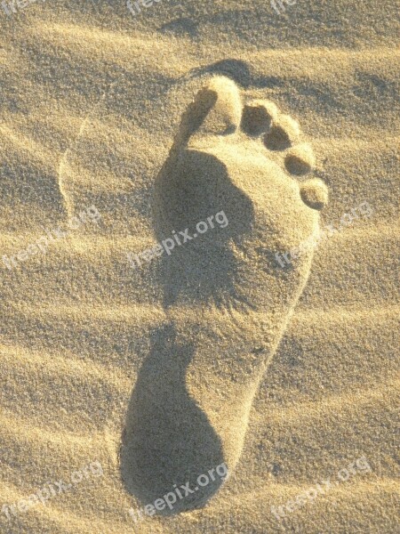 Sand Foot Reprint Footprint Sand Beach