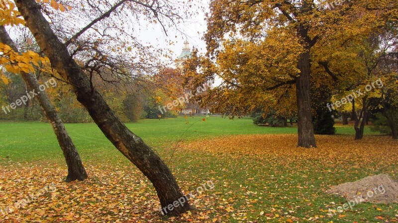 Budapest Margaret Island In The Fall Free Photos