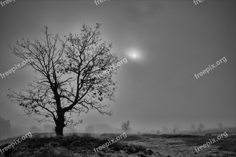 Hamburg Boberg Dunes Silent Fog Loneliness Nature