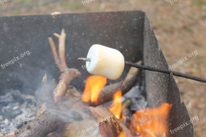 Zephyr Koster Firewood Marshmallows Fried