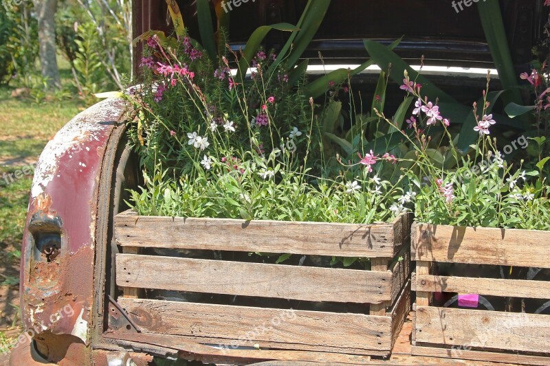 Vintage Car With Plants In Boot Car Old Red Faded