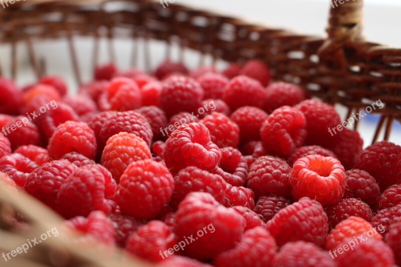 Raspberry Berry Berries Of A Raspberry Summer Closeup