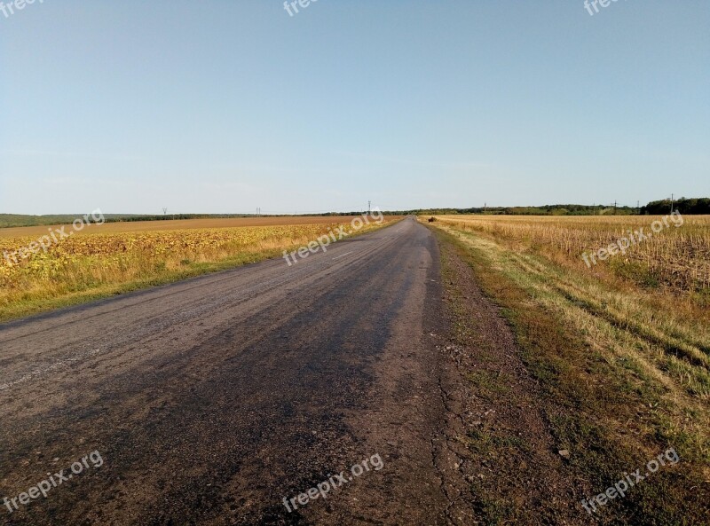 Road Field The Way Rural Asphalt