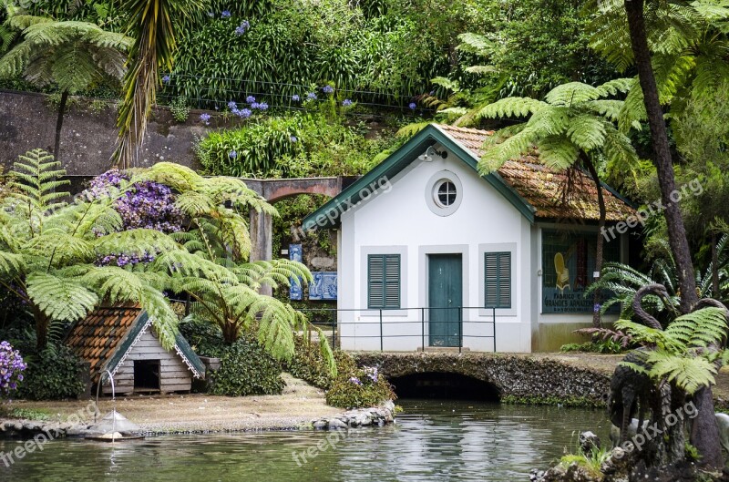 Garden Cottage Pond Vegetation Bower