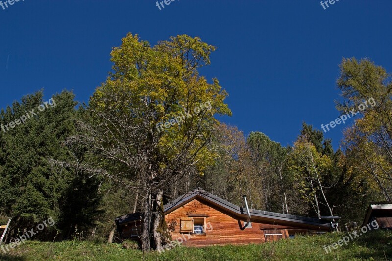 Alpine Hut Facade Cladding Shingle Log Cabin Wooden Wall