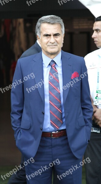 Senol Gunes Beşiktaş Super League Coach Free Photos