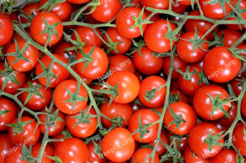 Tomatoes Vegetables Red Salento Free Photos