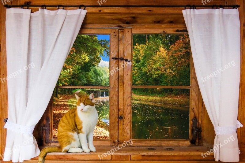 Landscape Nature Window Outlook Relaxation