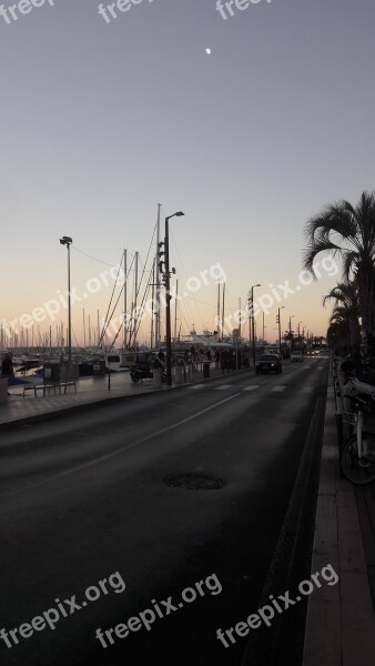 Port Cannes Evening Sky Palm