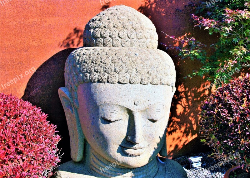 Buddha Zen Autumn Garden Sunny