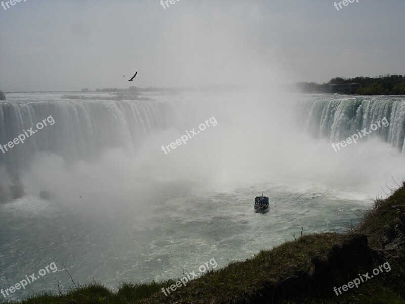 Niagara If Canada Waterfall Boat Seagull