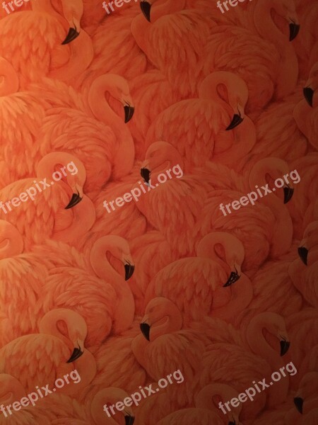 Wallpaper Flamingo Pink Tropical Design