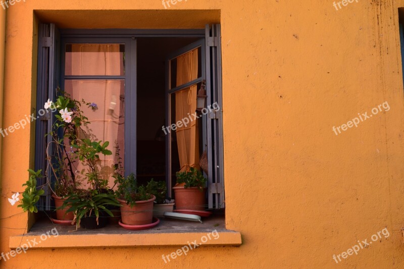 Landscape Window Flower The Façade Of The Building