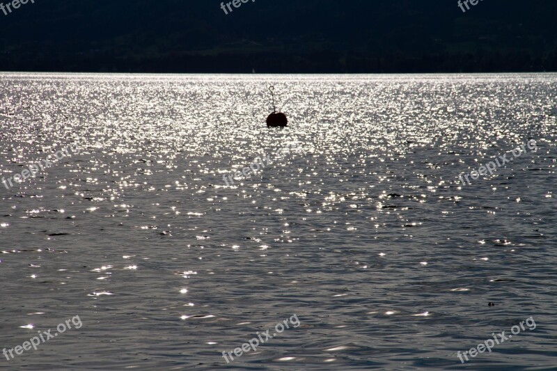 Lake Sparkle Backlighting Water Nature