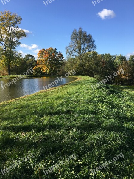 Autumn Autumn Weather Autumn Gold Yellow Leaves Nature