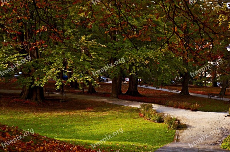 Poland świeradów-zdrój Spa Park Free Photos