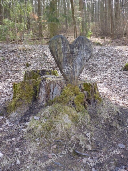 Heart Tree Stump Sawn Free Photos