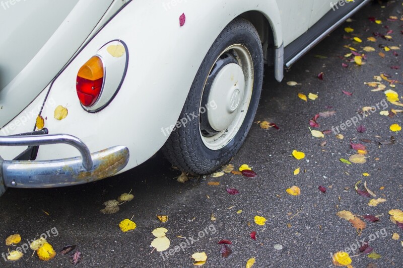 Leaves Car Leaf Green Symbol