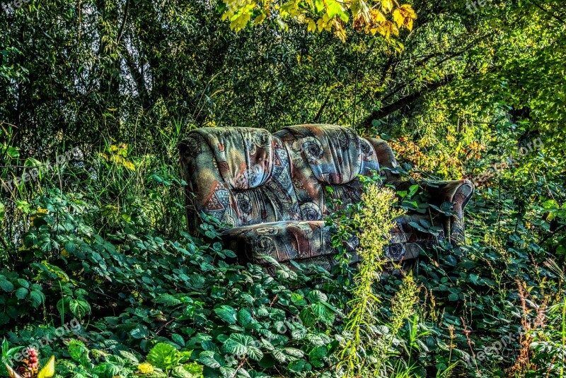 Sofa Couch In The Green Forest Sit