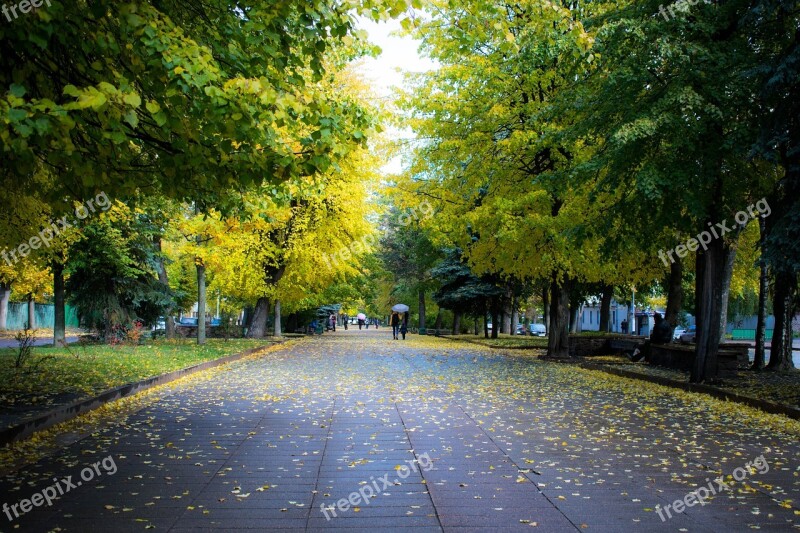 Ukraine Zhitomir Park Autumn Trees