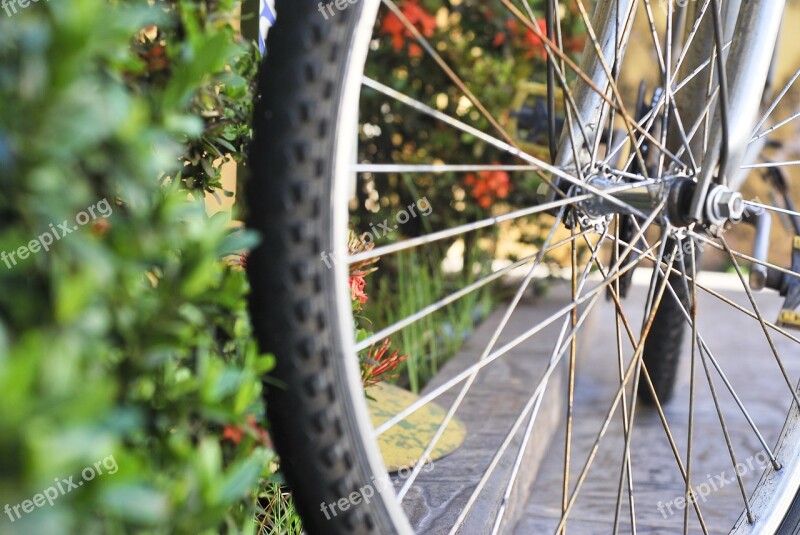 Bike Radius Perspective Tire Plants