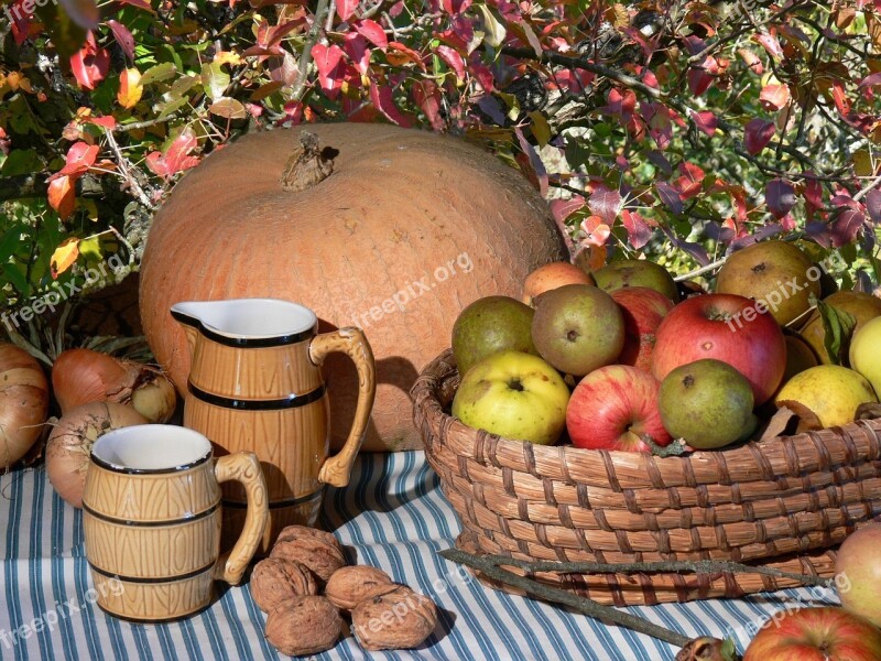 Autumn Still Life Pumpkins Apple Nuts