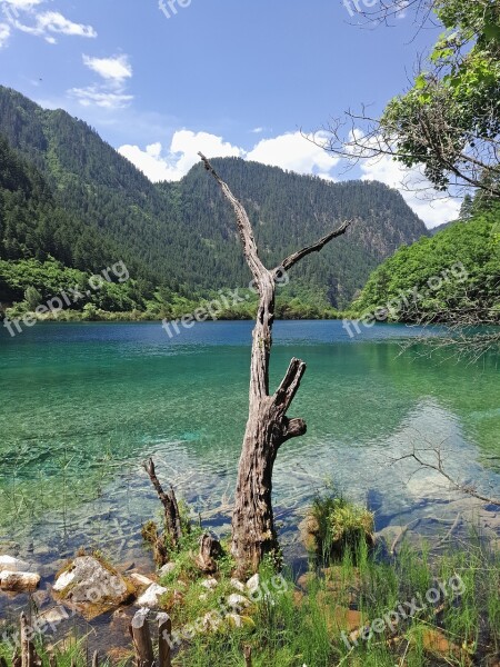 Jiuzhaigou The Scenery Water Nature Lake