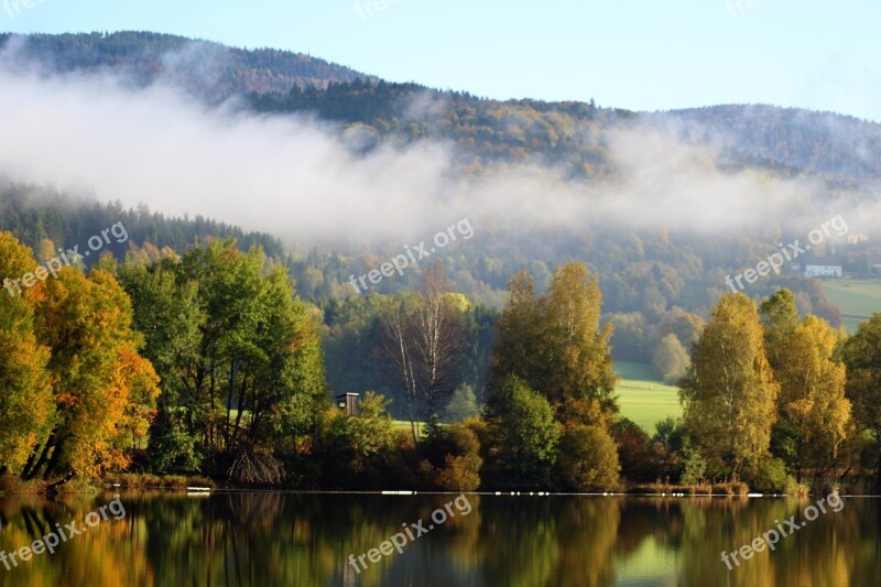 Klaffer Autumn Tree Deciduous Forest Leaves