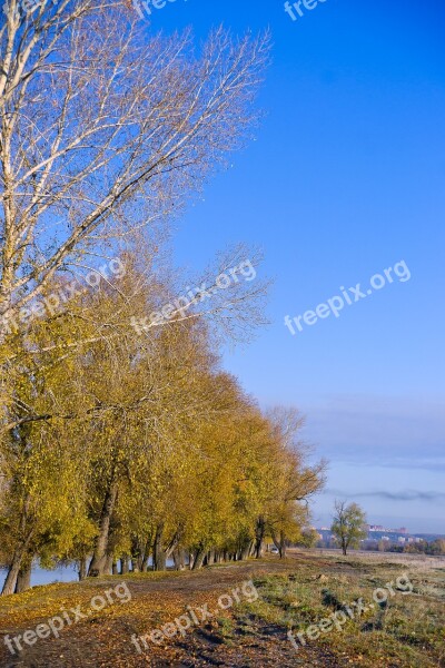 Road Village Autumn Morning Landscape