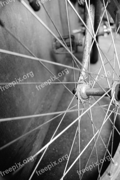 Bicycle Black And White Pedal Biking Wheel