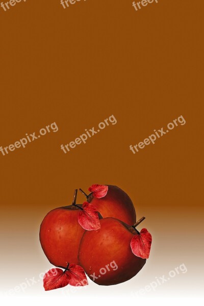 Apple Fruit Fresh Fruit Eat Food