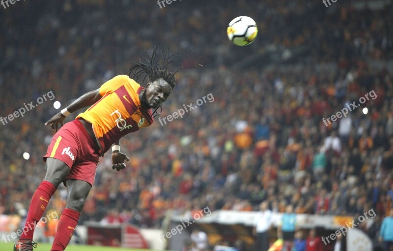 Bafetimbi Gomis Galatasaray Lion Goal Of Happiness Super League