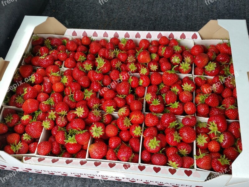 Strawberries Box Carton Free Photos