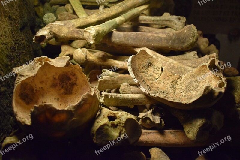 Paris Catacombs Bones Free Photos