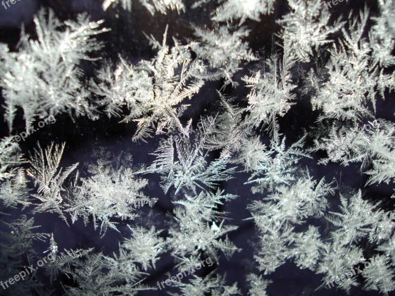 Ice Crystals Frozen Cold Eiskristalle