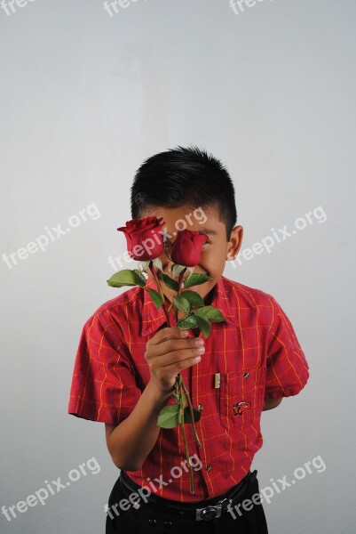 Red Roses Red Child Free Photos