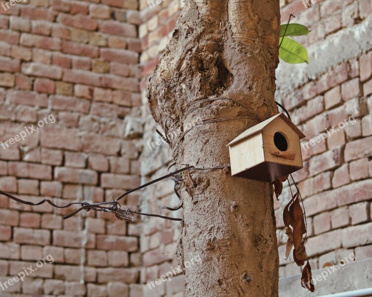 Old Wall Architecture Protection Wood