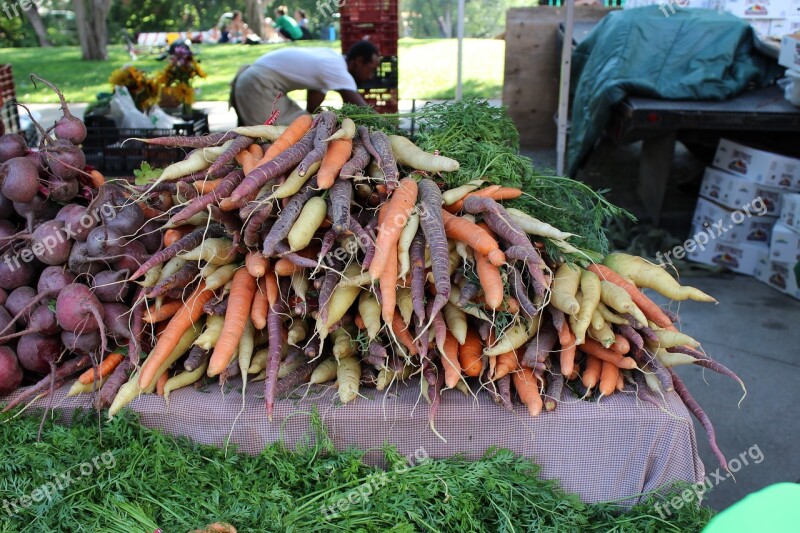 Carrots Color Boulder Free Photos